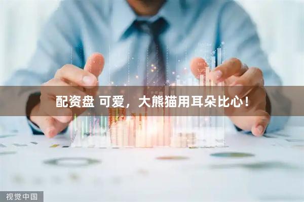 配资盘 可爱，大熊猫用耳朵比心！