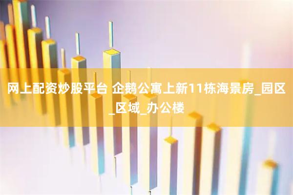 网上配资炒股平台 企鹅公寓上新11栋海景房_园区_区域_办公楼